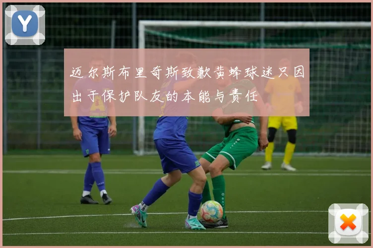迈尔斯布里奇斯致歉黄蜂球迷只因出于保护队友的本能与责任