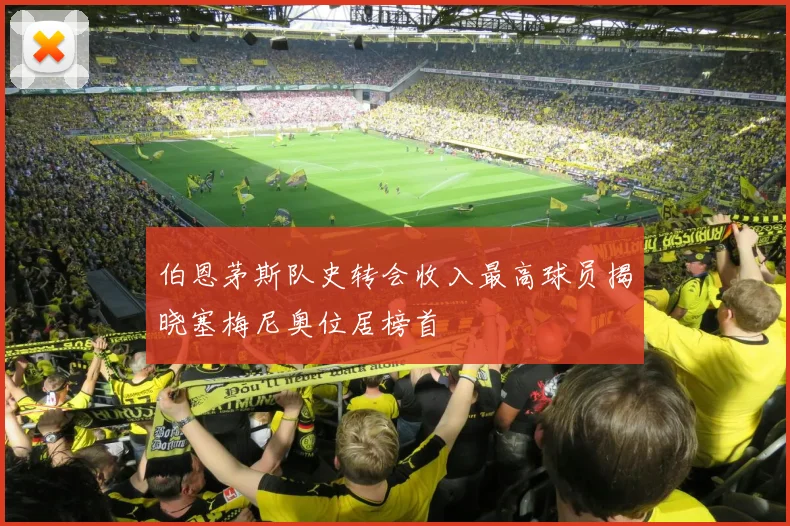 伯恩茅斯队史转会收入最高球员揭晓塞梅尼奥位居榜首