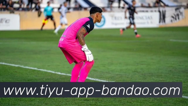 半岛体育发展历程